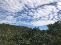  of property in Cashan