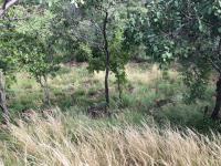  of property in Cashan