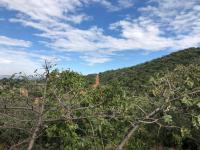  of property in Cashan
