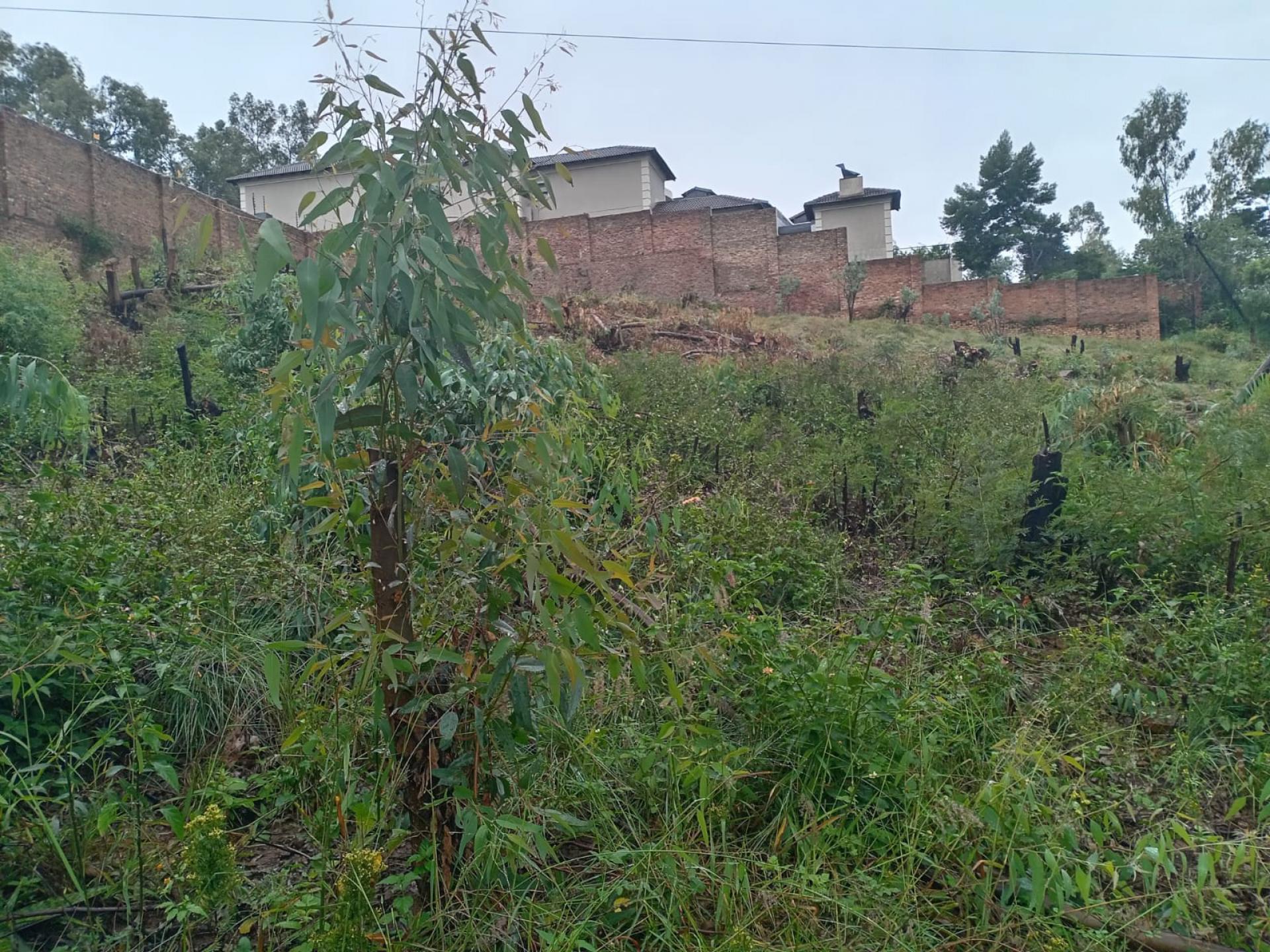  of property in Waterkloof Heights