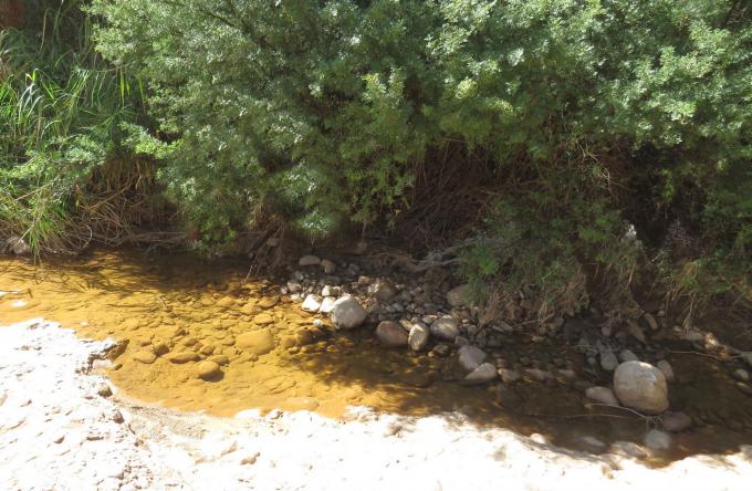 Land for Sale For Sale in De Rust - MR674676