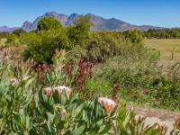 of property in Paarl