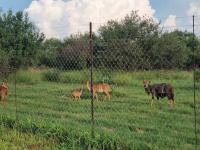  of property in Rustenburg