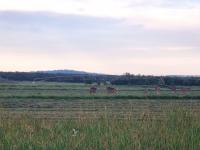  of property in Rustenburg