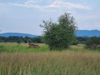  of property in Rustenburg