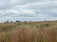  of property in Bronkhorstspruit