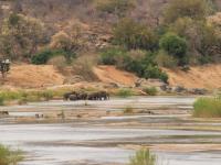  of property in Hoedspruit
