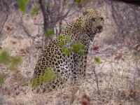  of property in Hoedspruit