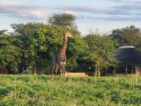  of property in Hoedspruit