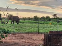  of property in Hoedspruit