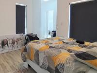  of property in The Sandown