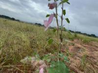  of property in Waterkloof (Rustenburg)