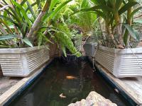  of property in Safarituine
