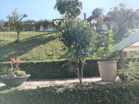  of property in Mtwalumi