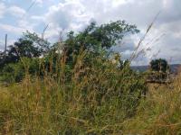 of property in Thohoyandou