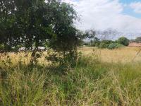  of property in Thohoyandou