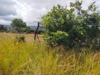  of property in Thohoyandou
