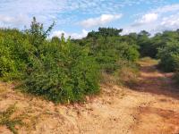  of property in Thohoyandou