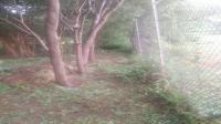 Spaces