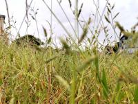  of property in Bendor