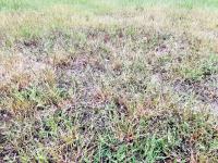  of property in Bendor