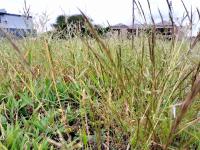  of property in Bendor