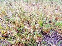  of property in Bendor