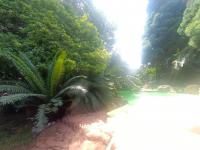 of property in Albemarle