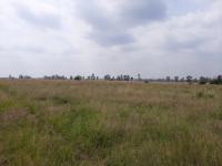  of property in Pyramid