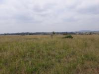  of property in Pyramid