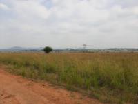  of property in Pyramid