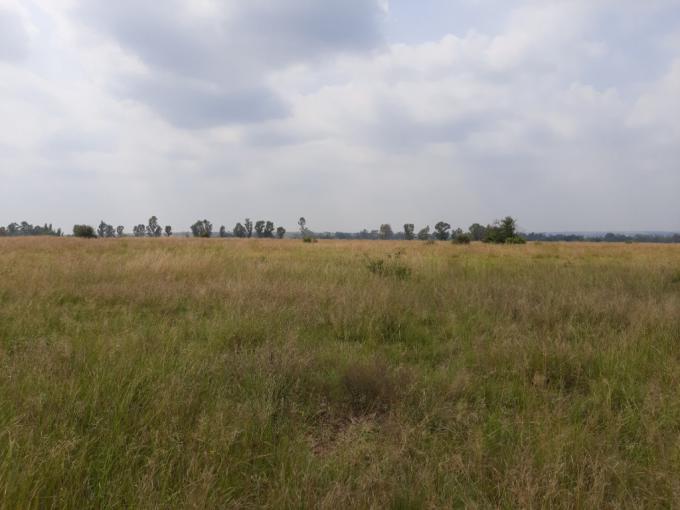 Land for Sale For Sale in Pyramid - MR675665