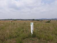  of property in Pyramid