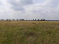  of property in Pyramid