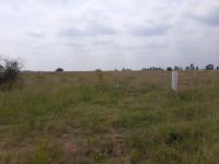  of property in Pyramid