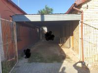  of property in Blomanda