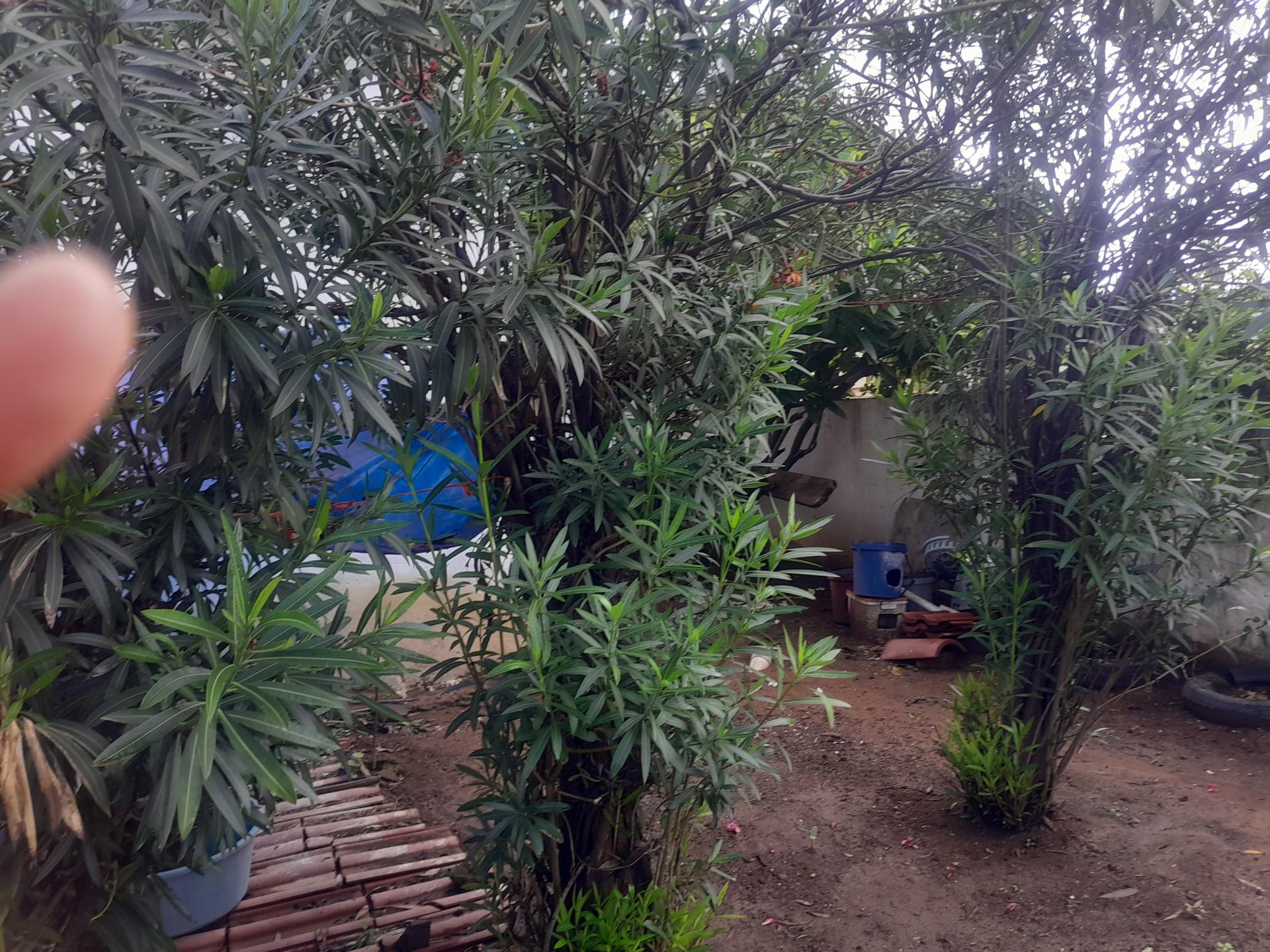  of property in Mogwase