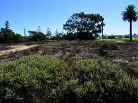  of property in Shelley Point