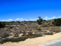  of property in Shelley Point