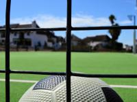  of property in Shelley Point