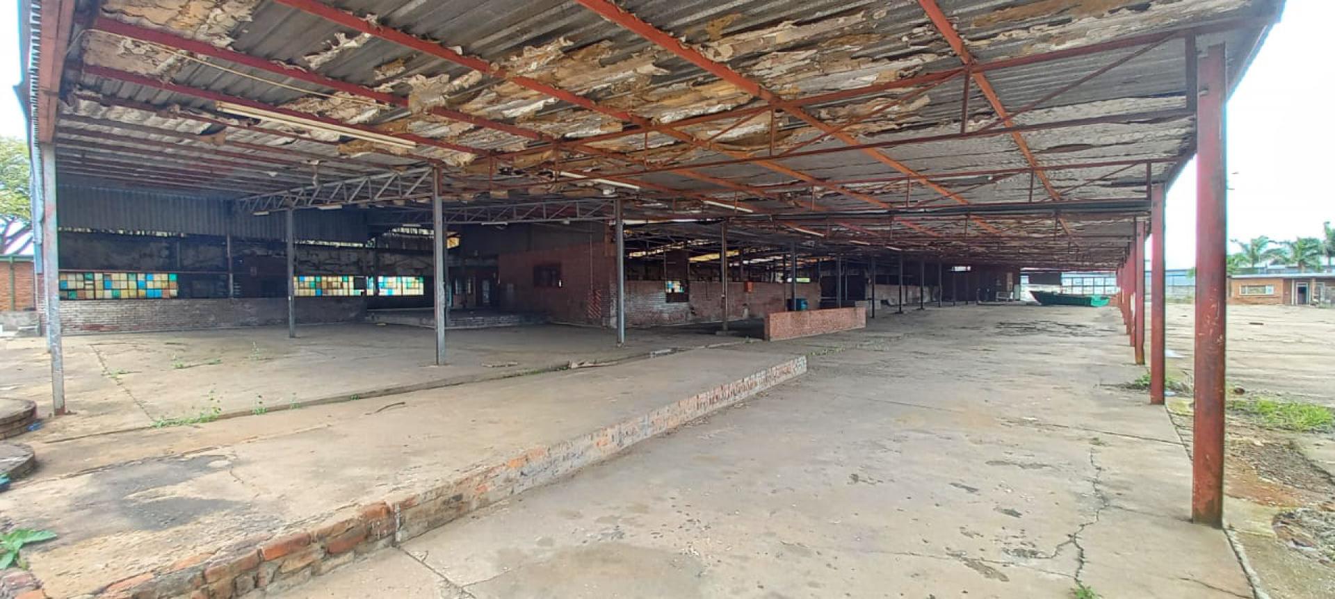  of property in Makhado (Louis Trichard)