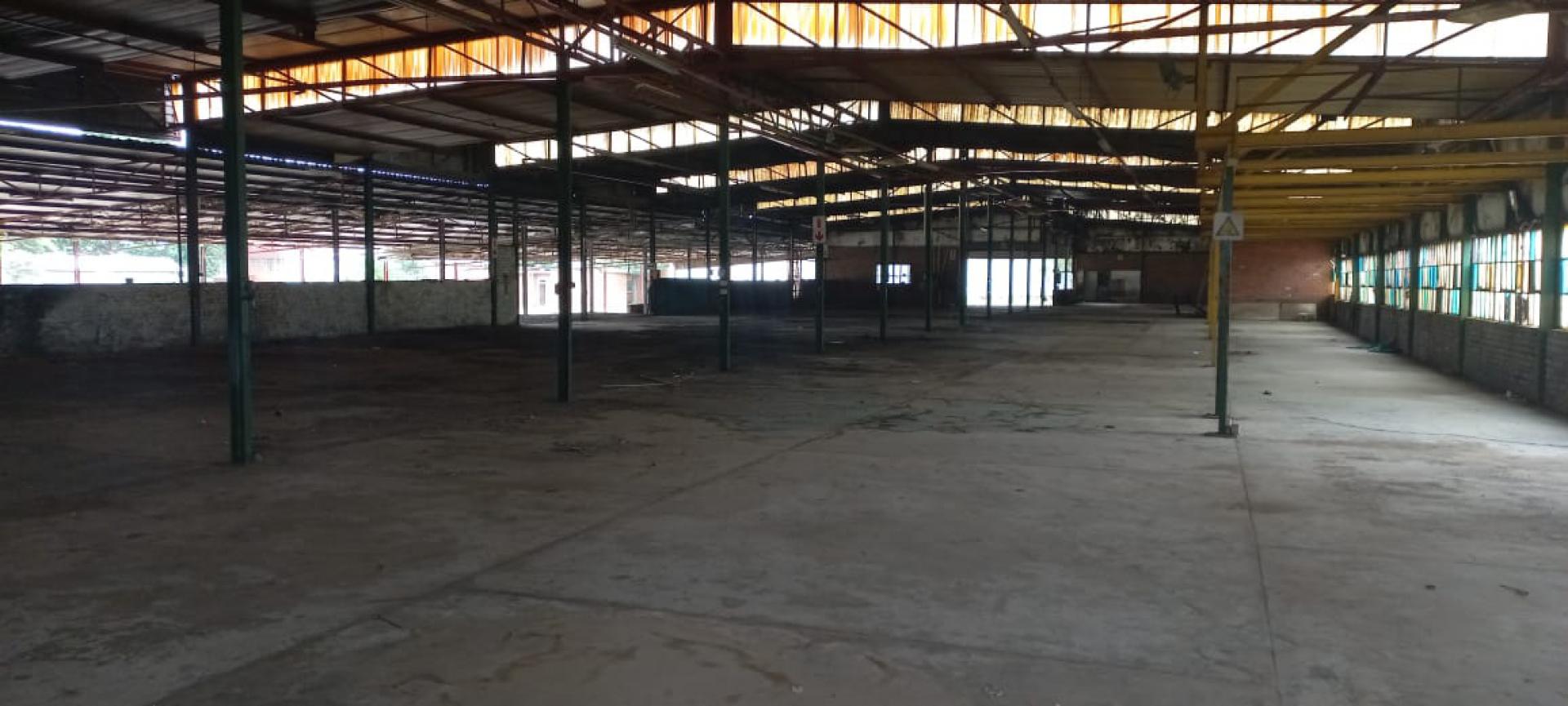  of property in Makhado (Louis Trichard)