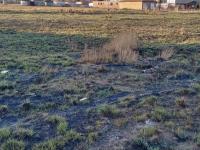  of property in Jameson Park