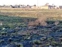  of property in Jameson Park