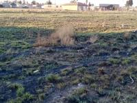  of property in Jameson Park