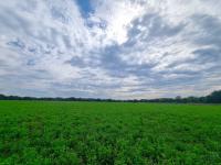  of property in Groot Marico