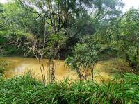  of property in Groot Marico