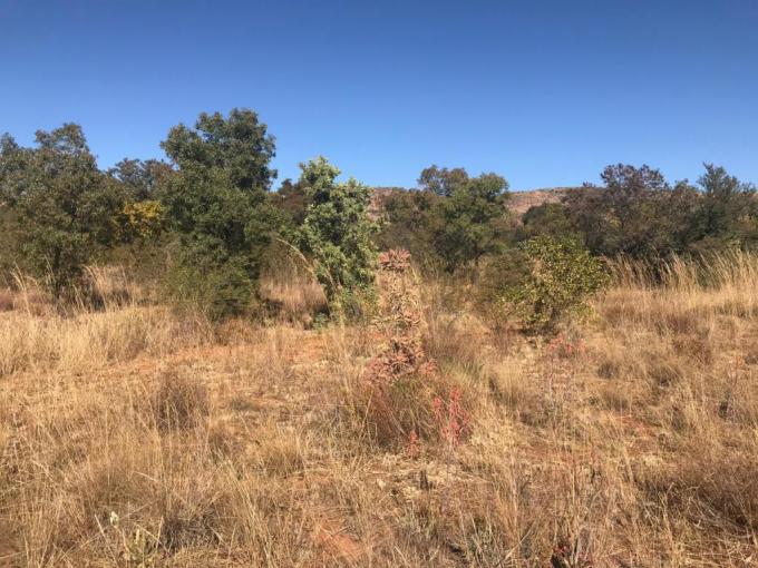 Farm for Sale For Sale in Modderfontein - MR676063