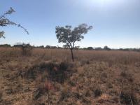  of property in Modderfontein