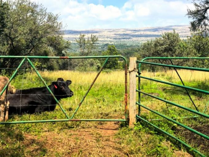 Smallholding for Sale For Sale in Rustenburg - MR676208